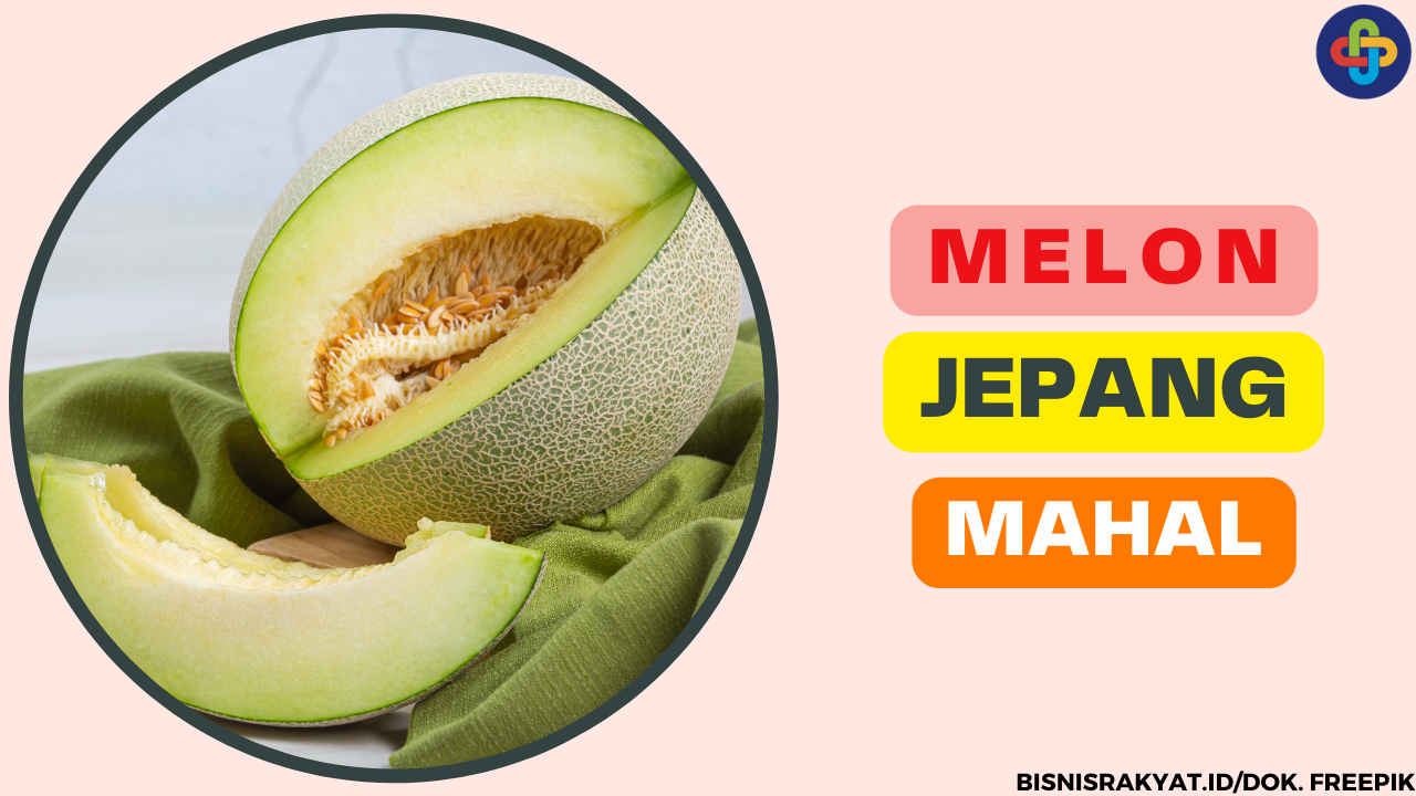 Ketahui 4 Penyebab Harga Melon di Jepang Mahal